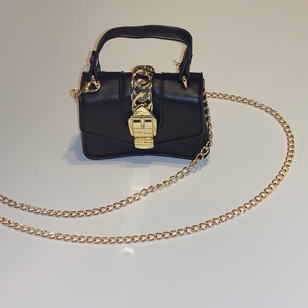 Devine Elegance chain buckle purse